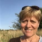 Den sangglade